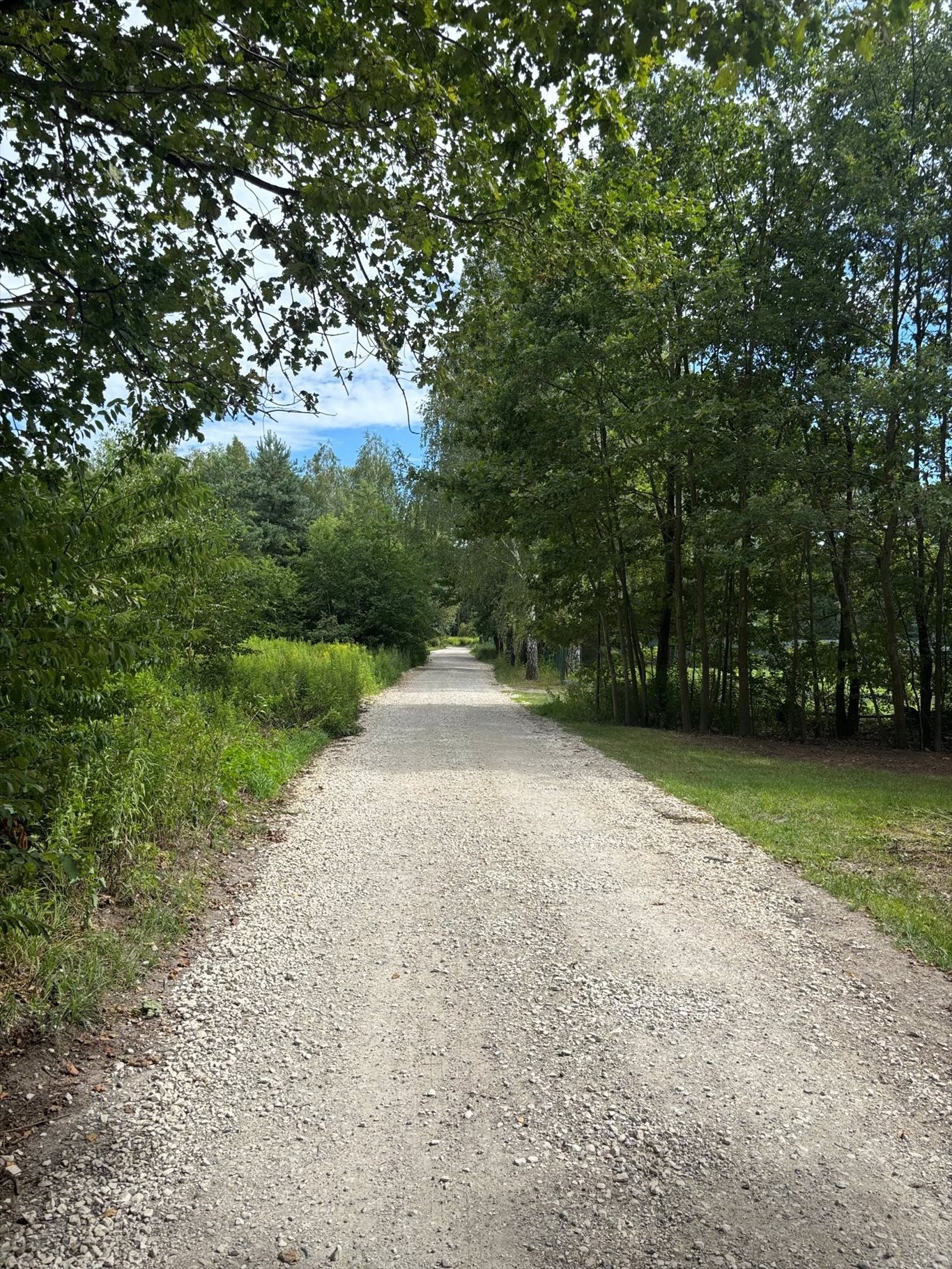 Działka rolna na sprzedaż Mariew  1 500m2 Foto 1