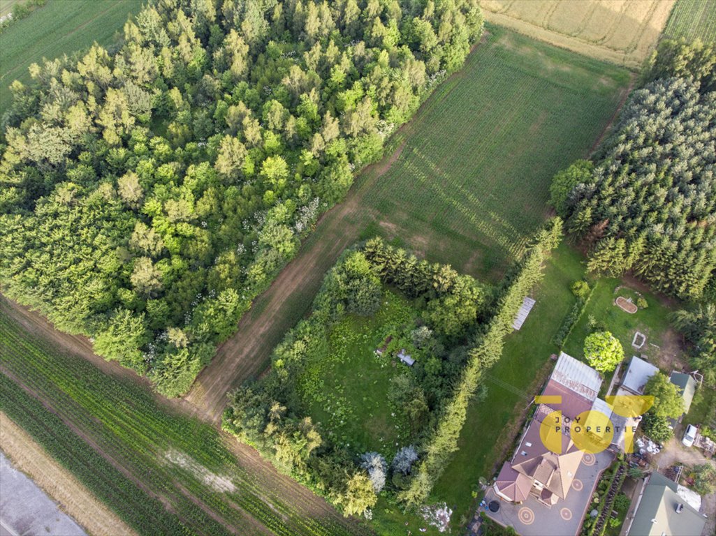 Działka budowlana na sprzedaż Brzezie  9 300m2 Foto 4