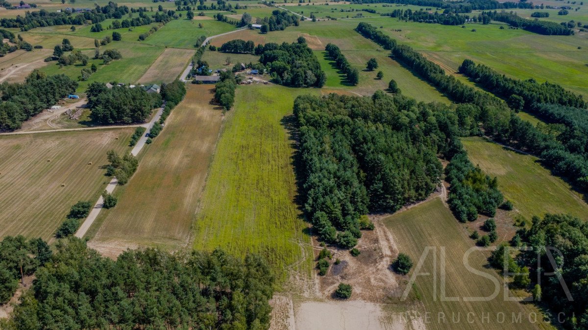 Działka budowlana na sprzedaż Marianowo  29 831m2 Foto 3