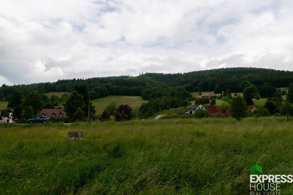 Działka budowlana 4069 m² w Dolinach Gór Złotych i Bialskich Stronie Śląskie  4 069m2 Foto 1
