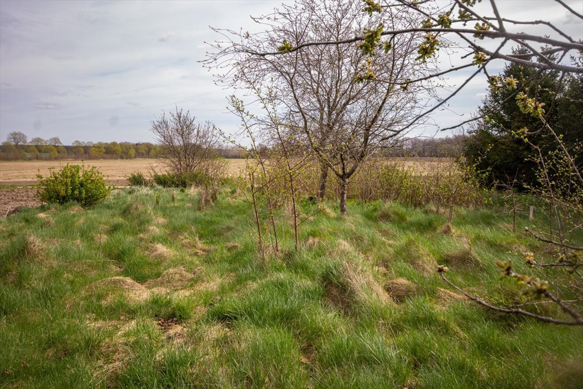 Mieszkanie dwupokojowe na sprzedaż Lublewko  55m2 Foto 15