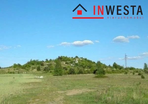 Unikalna działka 4,5 ha z widokiem na jurajskie ostańce Częstochowa, Mirów  4 500m2 Foto 1