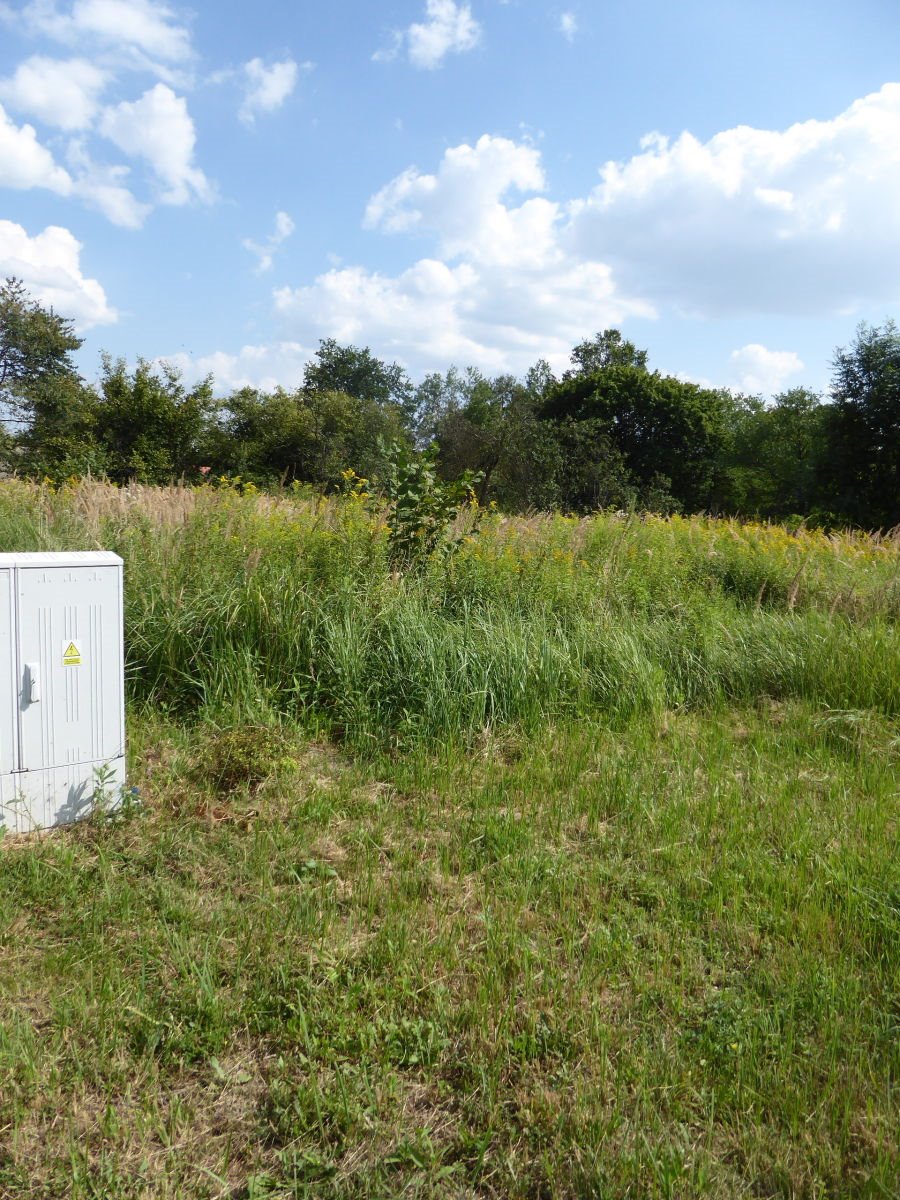 Działka budowlana 1000 m2 w Radecz z mediami i lasem Radecz  1 000m2 Foto 1