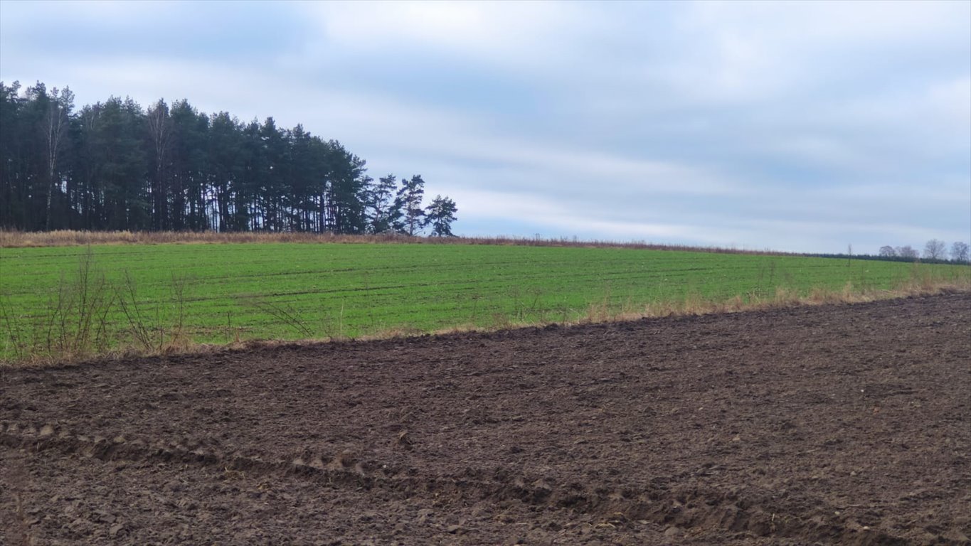 Działka rolna na sprzedaż Kuleszewo  26 163m2 Foto 14