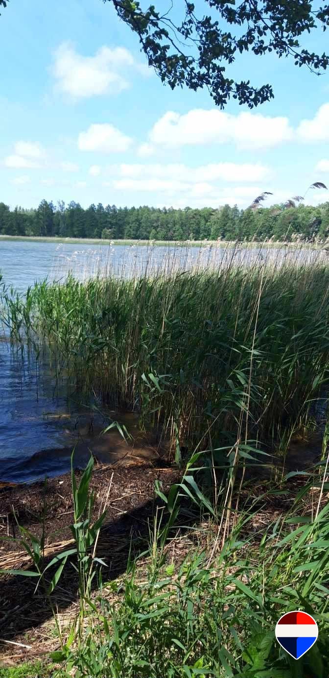 Mazurski raj: działka, siedlisko i las nad jeziorem Węgorzewski  18 600m2 Foto 1