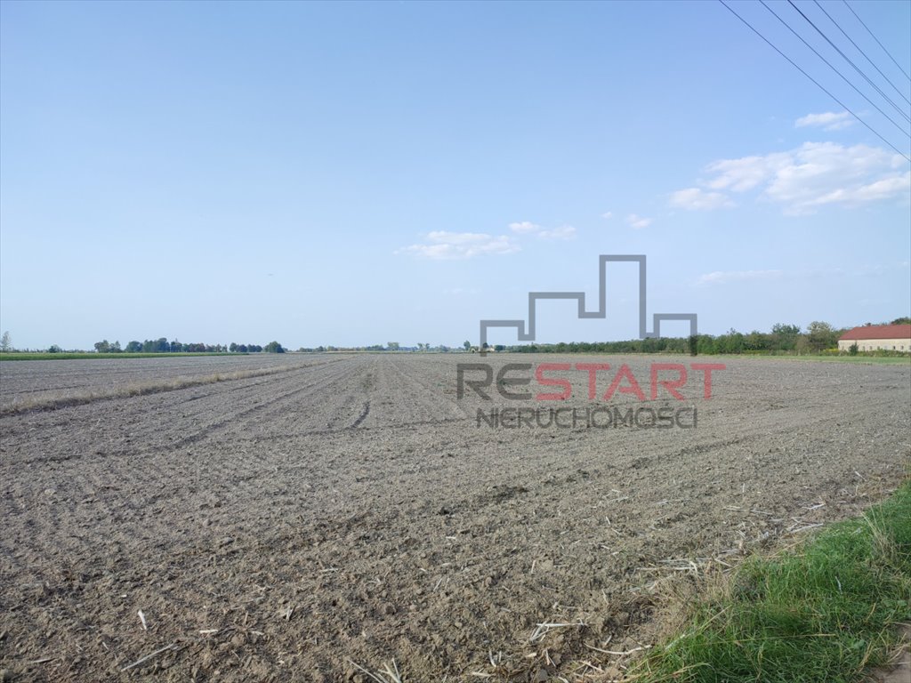 Działka rolna na sprzedaż Żuków  24 500m2 Foto 8