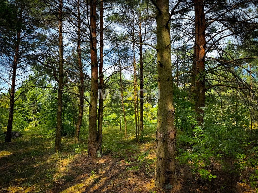 Działka rekreacyjna na sprzedaż Kruczy Borek  1 000m2 Foto 6