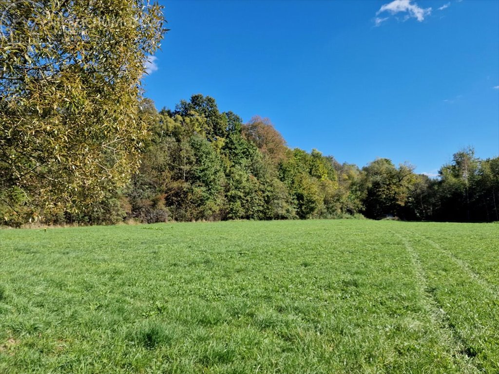 Działka rolna na sprzedaż Strzeszyn  3 900m2 Foto 4