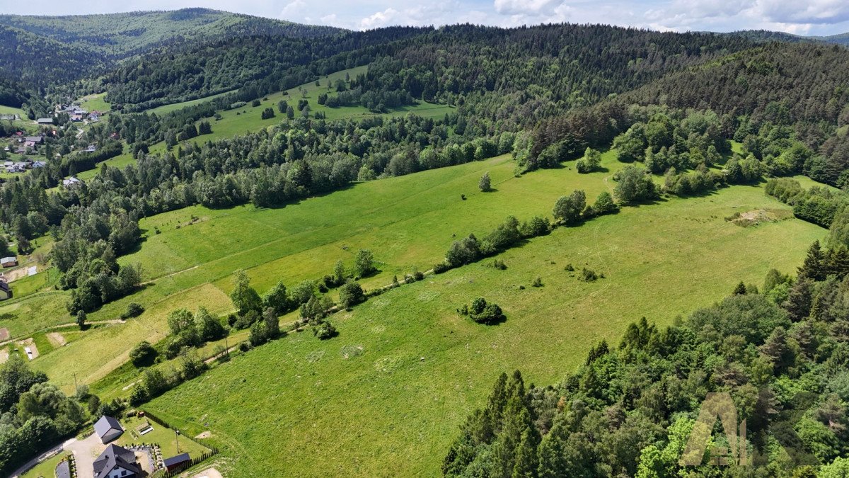 Działka budowlana na sprzedaż Łosie  1 400m2 Foto 6