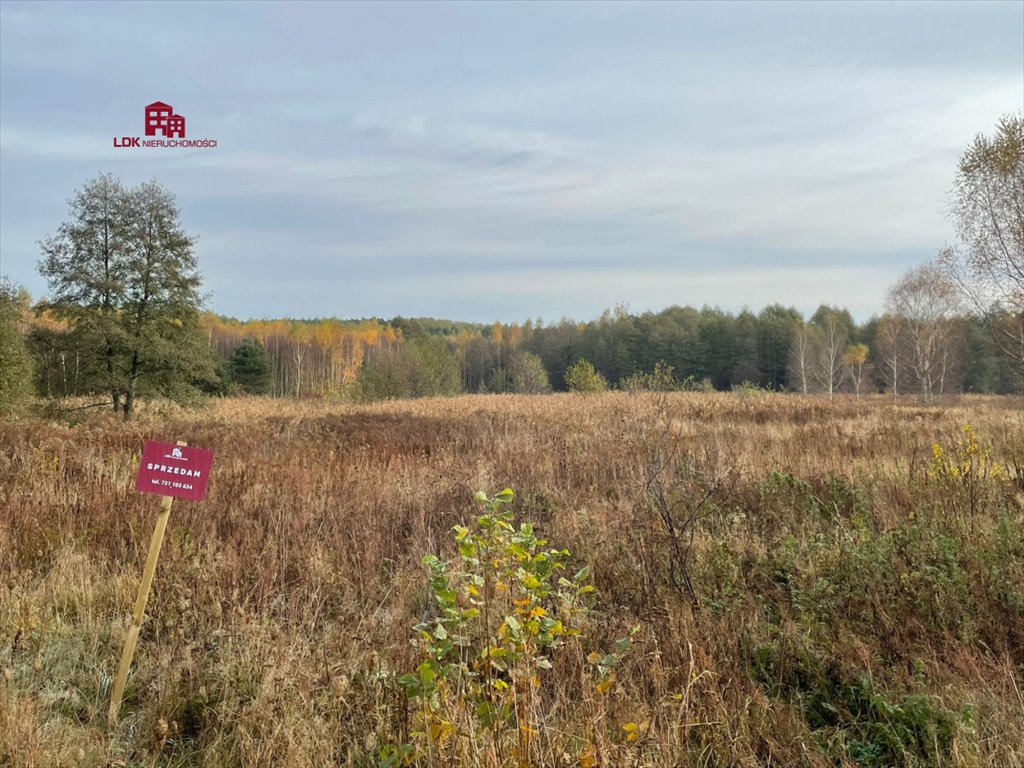 Działka budowlana na sprzedaż Zielona Góra  35 300m2 Foto 18