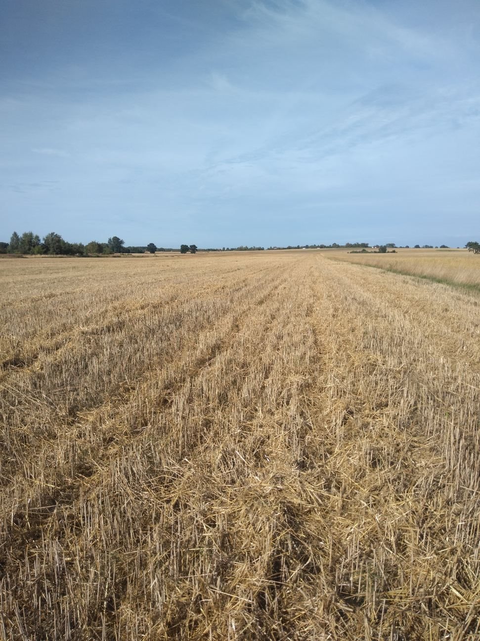 Działka budowlana na sprzedaż Międzyzdroje, Rekowo  1 000m2 Foto 2