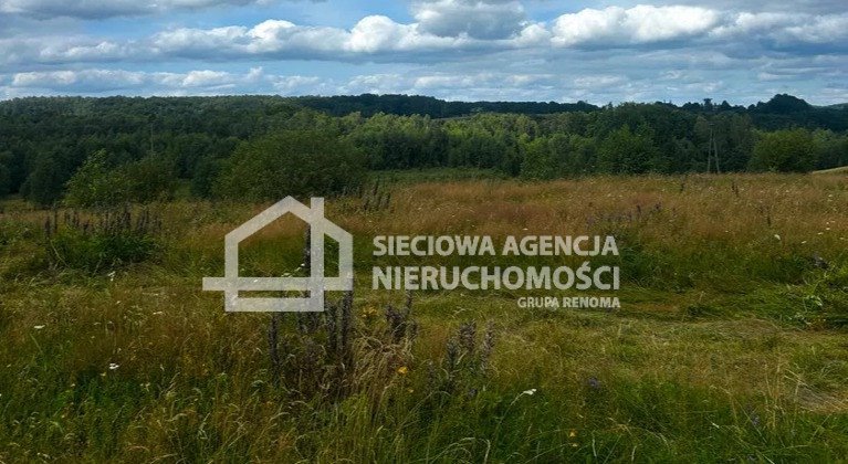 Sprzedam działkę 2899 m² z warunkami zabudowy w Trzepowie Trzepowo  2 899m2 Foto 1