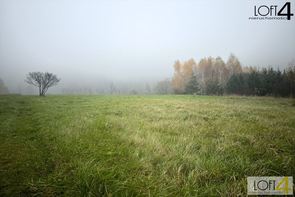 Działka budowlana na sprzedaż Zagorzyn  2 600m2 Foto 8