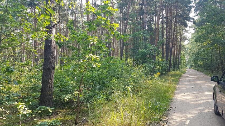 Działka rolna na sprzedaż Mirowice  3 055m2 Foto 1