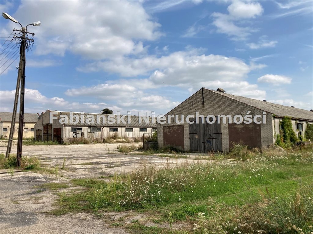 Lokal użytkowy na sprzedaż Łubnica, Baza Rolniczej Spółdzielni Produkcyjnej Łubnica, gmina Wielichowo, powiat grodziski  46 731m2 Foto 11