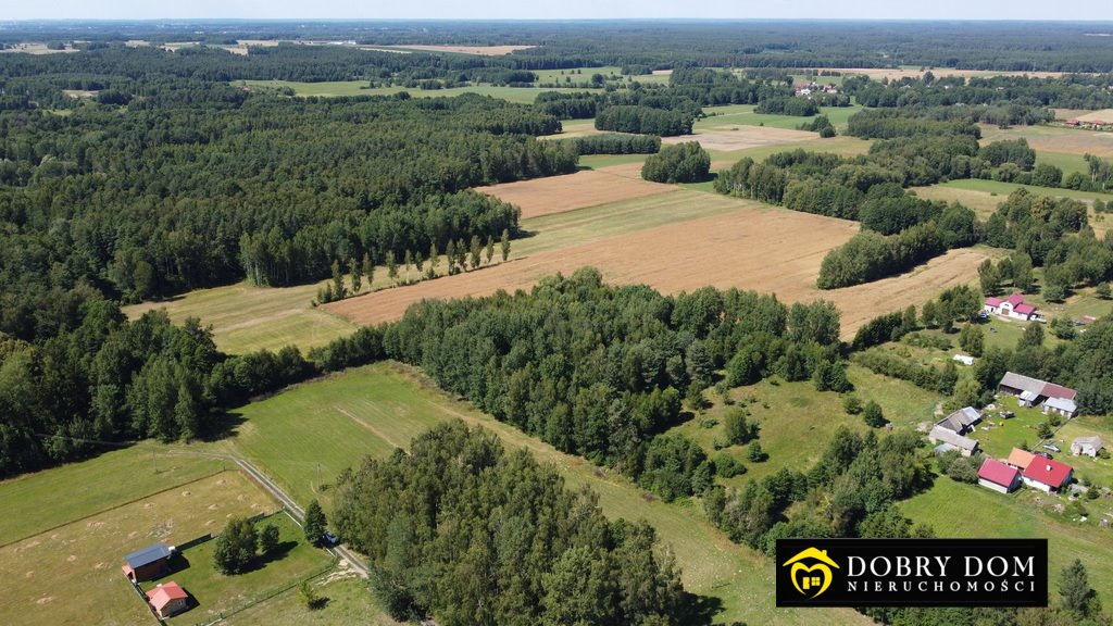 Działka budowlana na sprzedaż Rafałówka  3 000m2 Foto 2