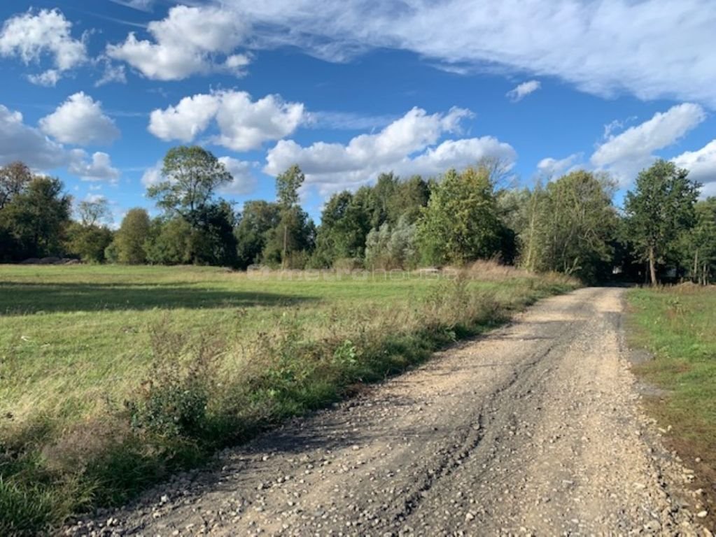 Działka budowlana na sprzedaż Arciechów, Bielika  3 390m2 Foto 10