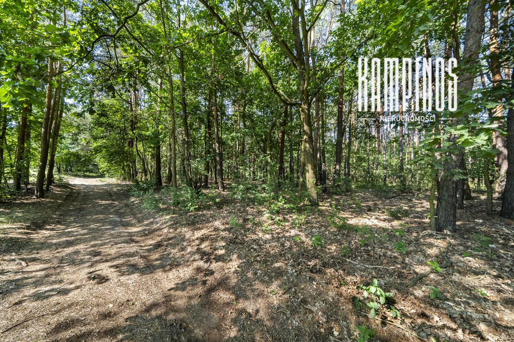 Na sprzedaż działka 2000 m² pod dom marzeń w Hornówku Hornówek  1 998m2 Foto 1