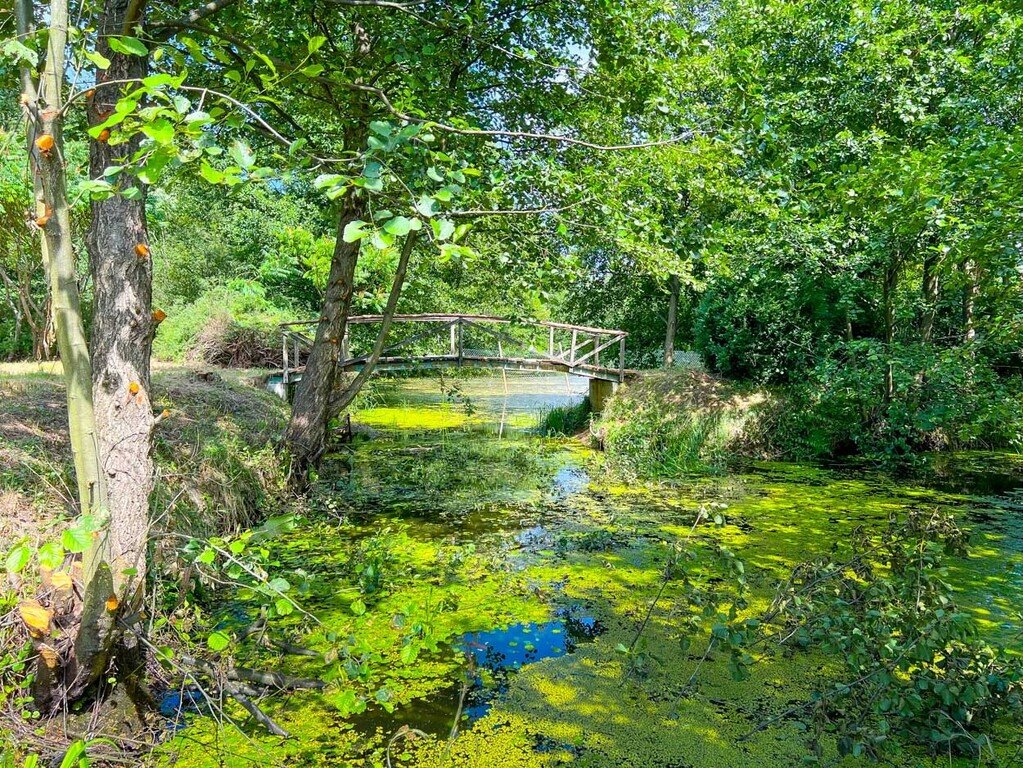 Działka 5819 m² pod dom i agroturystykę, las, rzeka, Natura 2000 Boguszków  5 819m2 Foto 1