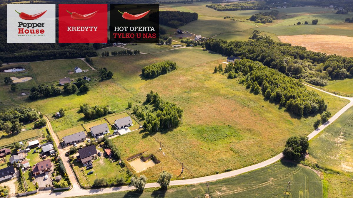 Polecam działkę 23 536 m² z warunkami zabudowy i potencjałem rozwoju Lisewiec, Żuławska  23 536m2 Foto 1