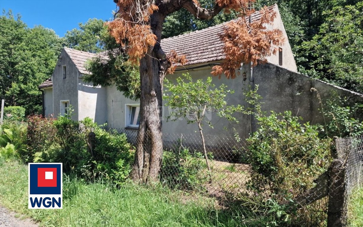 Dom na sprzedaż Ciciszów, Cieciszów  80m2 Foto 1