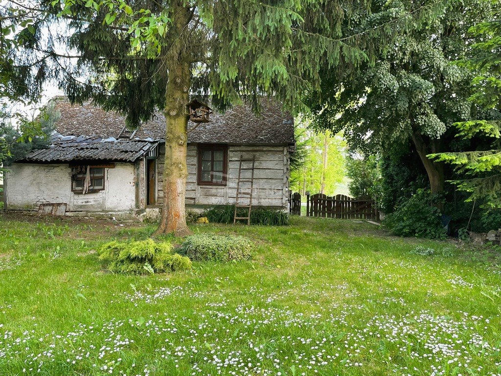 Działka budowlana na sprzedaż Staw Noakowski-Kolonia  4 700m2 Foto 9