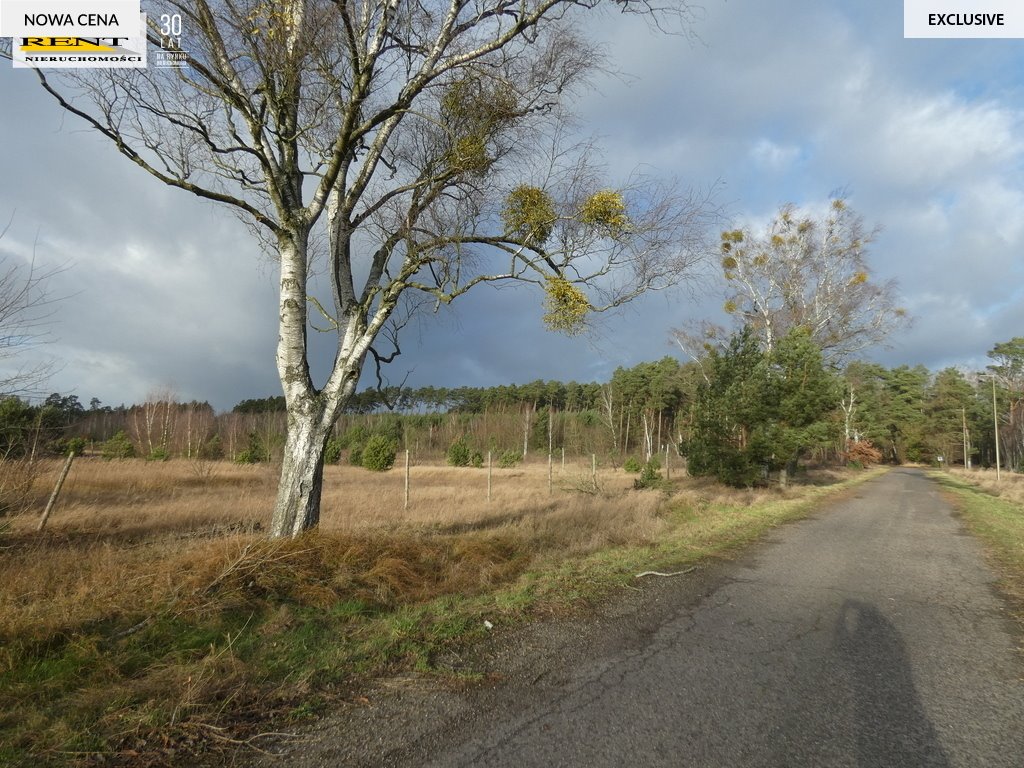 Działka budowlana na sprzedaż Miękowo  1 562m2 Foto 2