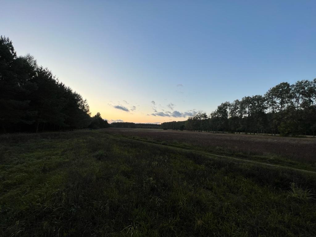 Działka inna na sprzedaż Skrwilno, Skrwilno  2 900m2 Foto 4