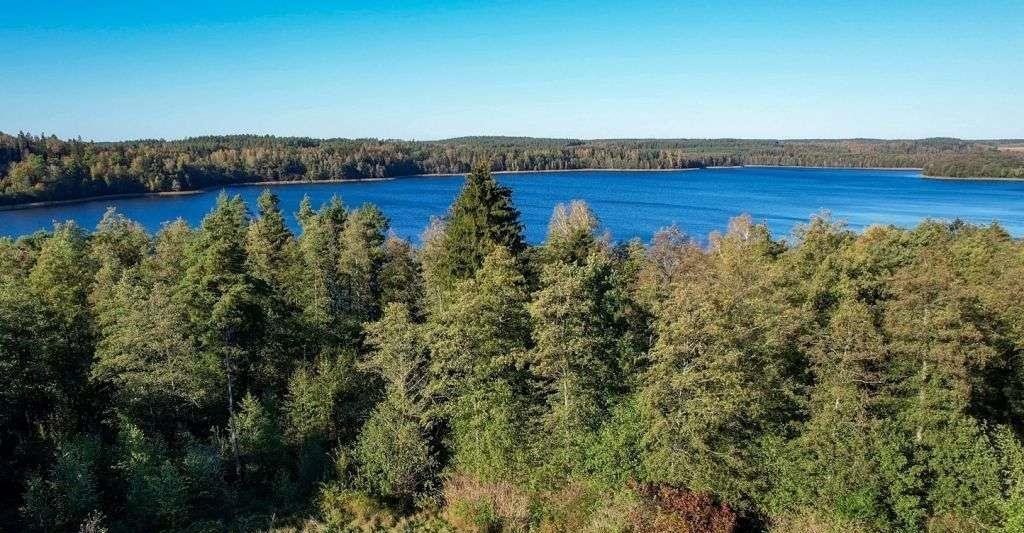 Działka rolna na sprzedaż Ramsowo  6 195m2 Foto 3