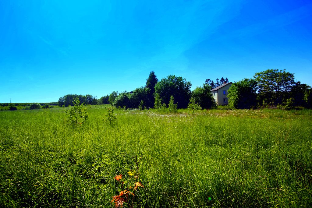 Dom na sprzedaż Słajkowo  289m2 Foto 5