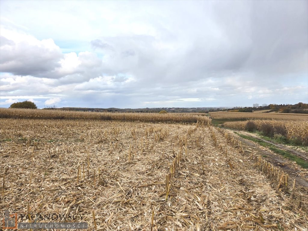 Działka rolna na sprzedaż Owczary  3 000m2 Foto 1