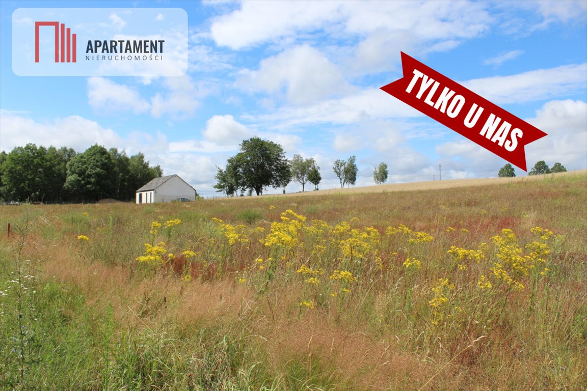 Działka budowlana na sprzedaż Zblewo, Ciska  1 100m2 Foto 4