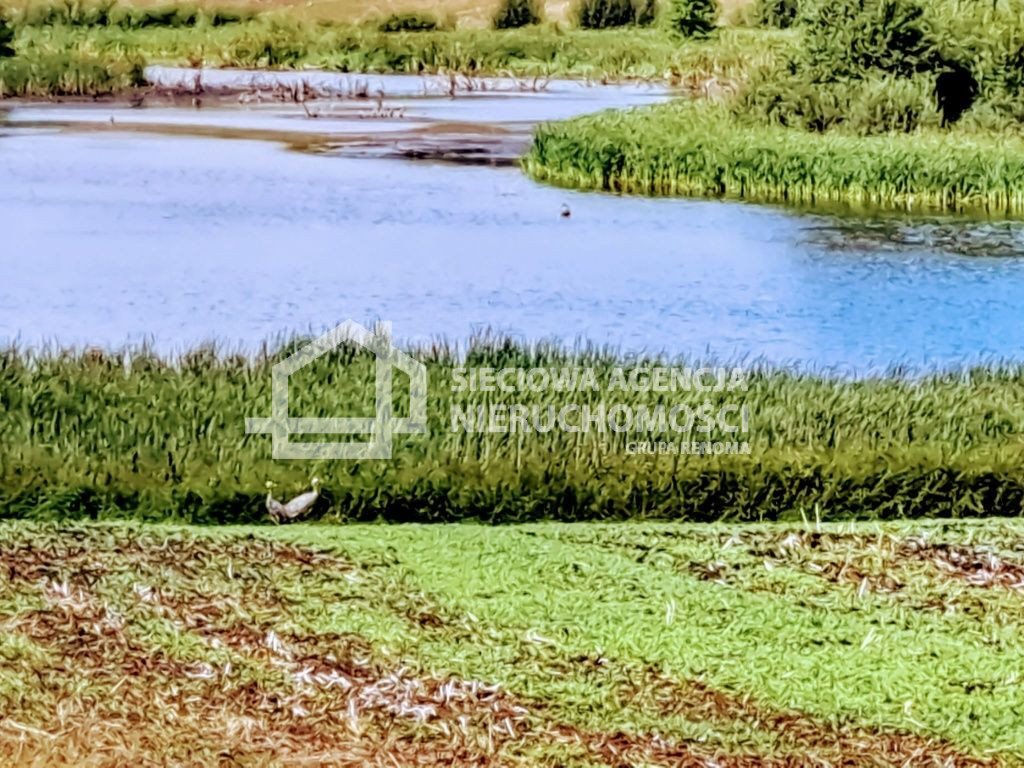 Działka budowlana na sprzedaż Szczerbięcin  1 003m2 Foto 9