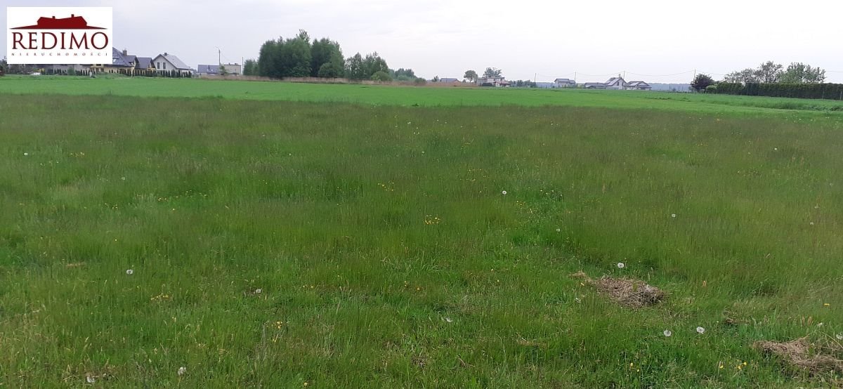 Działka budowlana na sprzedaż Orzesze, Zgoń, Gosrtyńska  852m2 Foto 1