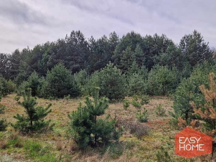 Działka budowlana na sprzedaż Kuźniczka  2 881m2 Foto 7