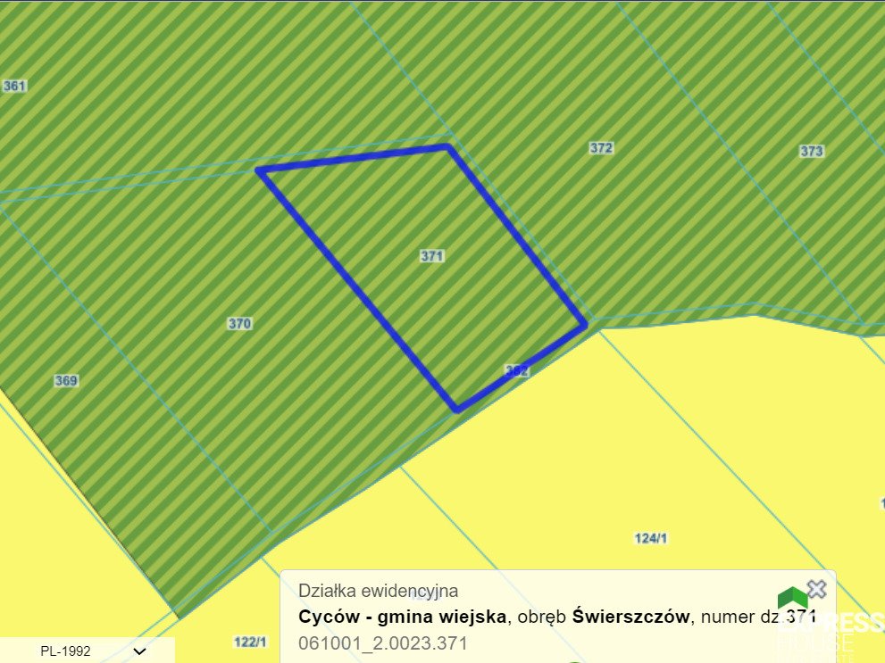 Działka leśna na sprzedaż Świerszczów  12 100m2 Foto 5