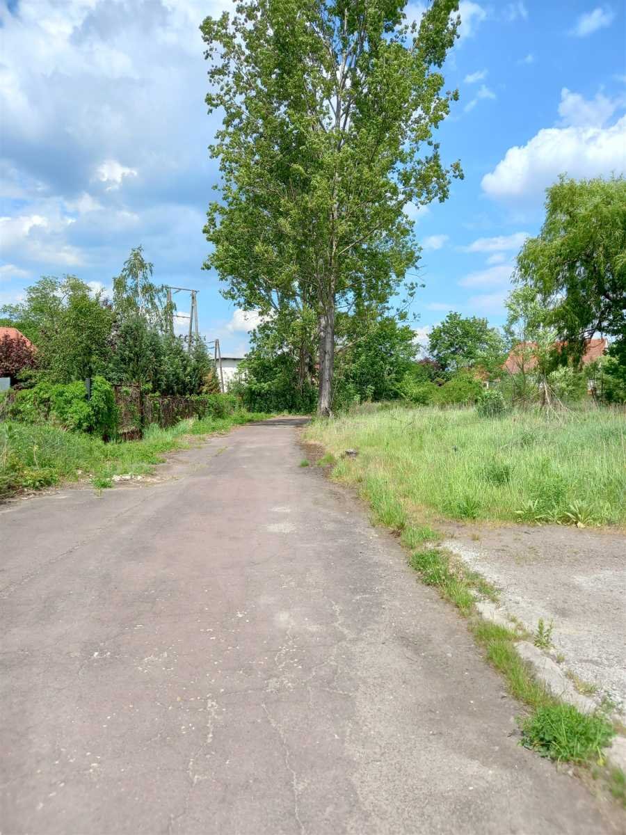 Działka budowlana na sprzedaż Chwaliszów, Chwaliszów  52 000m2 Foto 11