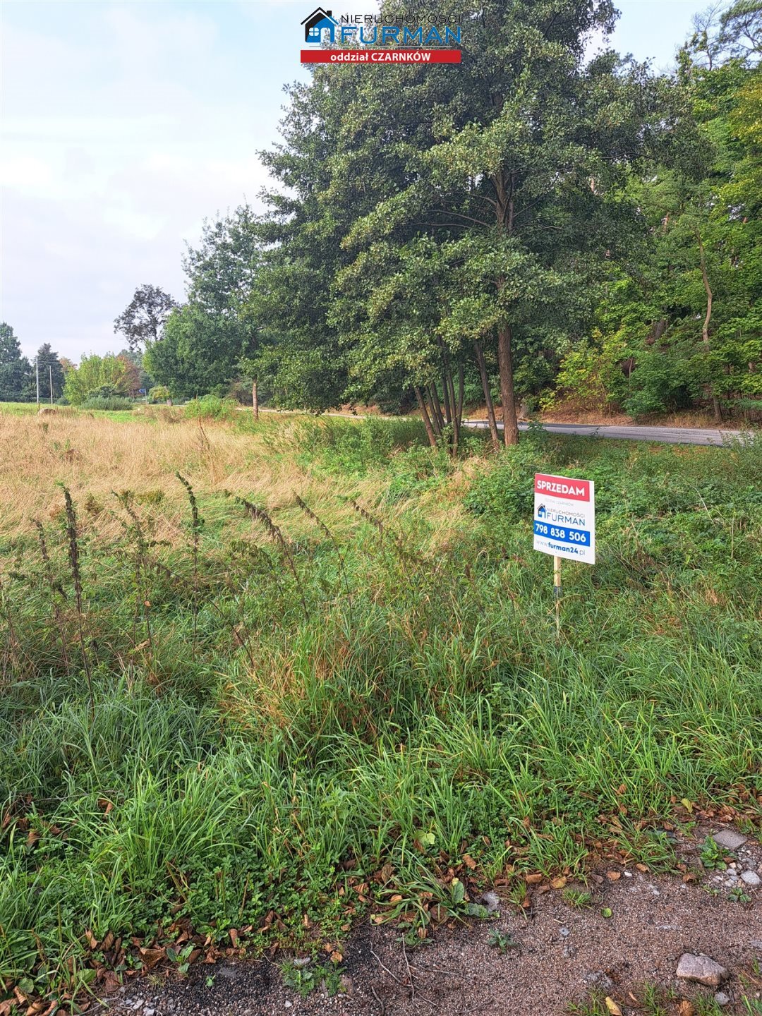 Działka budowlana na sprzedaż Zofiowo  3 005m2 Foto 3