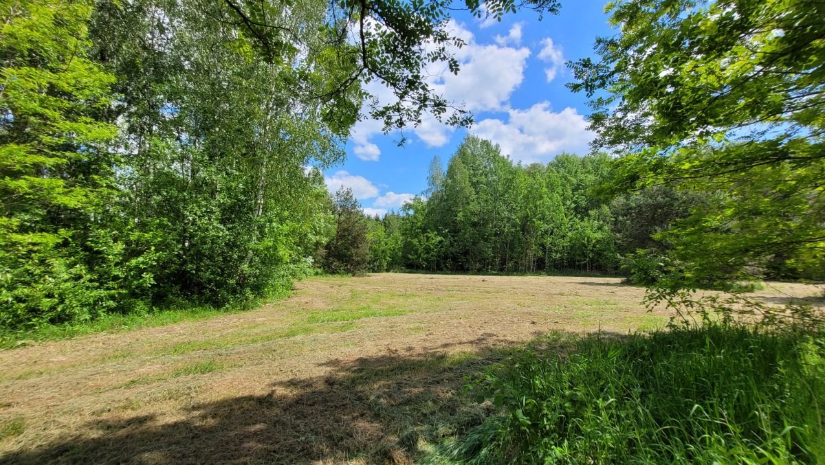 Działka budowlana na sprzedaż Piotrkowice, Trzech Muszkieterów  3 002m2 Foto 1