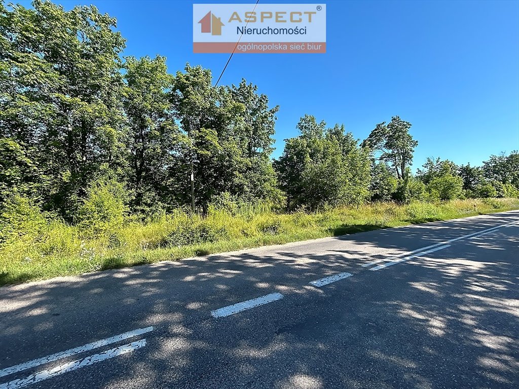 Działka inna na sprzedaż Turośń Kościelna, Baciuty  3 000m2 Foto 7