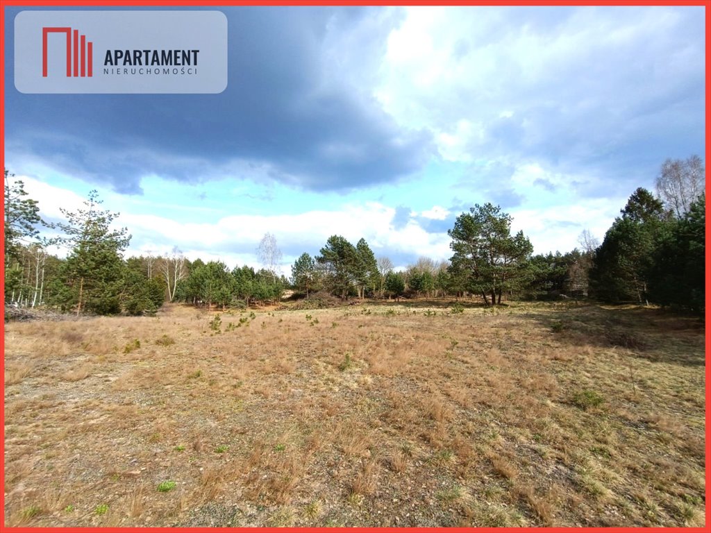 Na sprzedaż działka 7620 m² w Czarne - idealna pod inwestycję Czarne  7 619m2 Foto 1