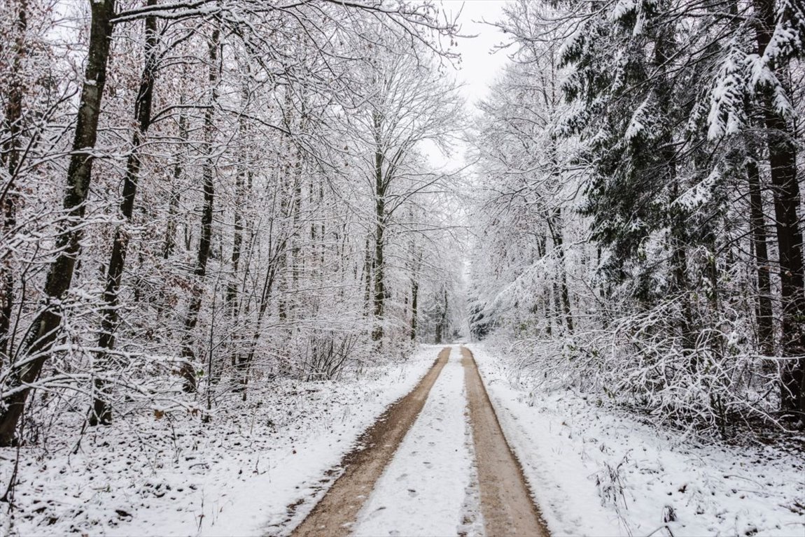 Działka leśna na sprzedaż Goniądz  27 500m2 Foto 1