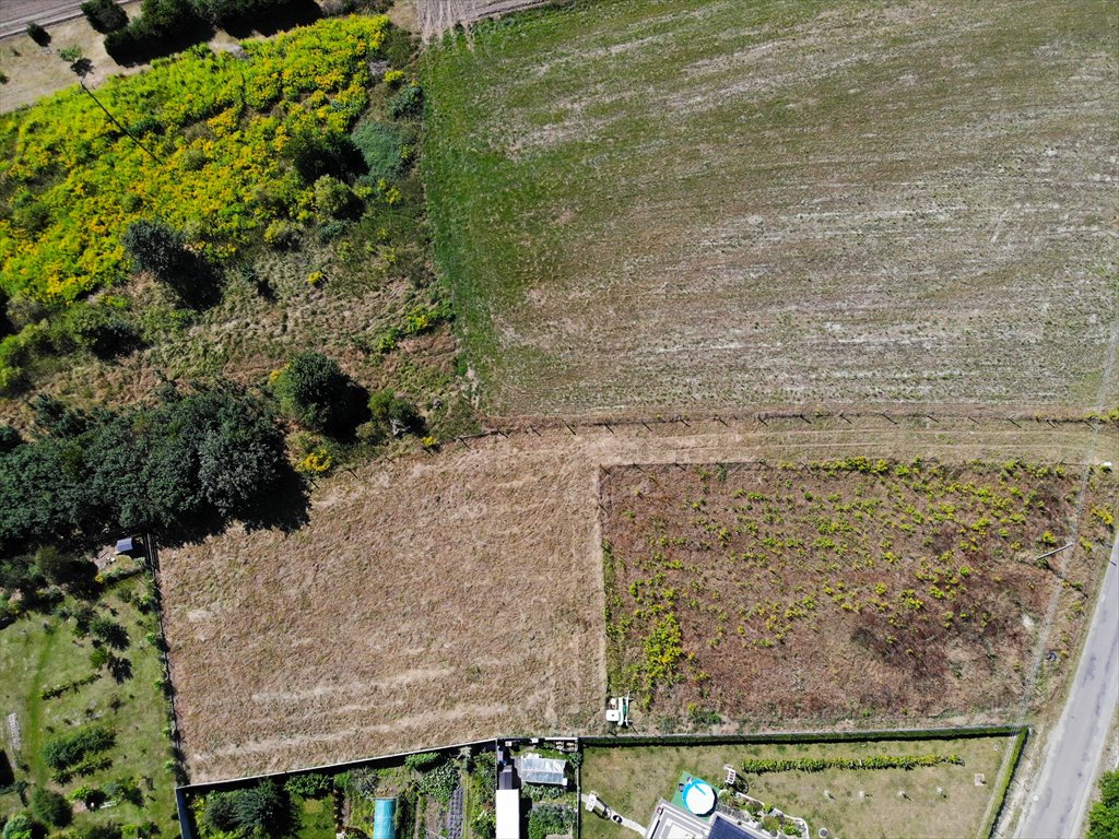 Działka budowlana na sprzedaż Okmiany  1 700m2 Foto 6