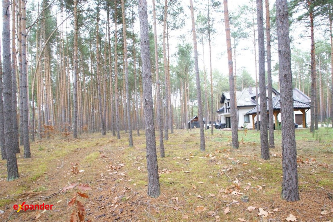 Działka 2000 m² w lesie z mediami - możliwość budowy domu Władysławów, Sosnowa  2 000m2 Foto 1