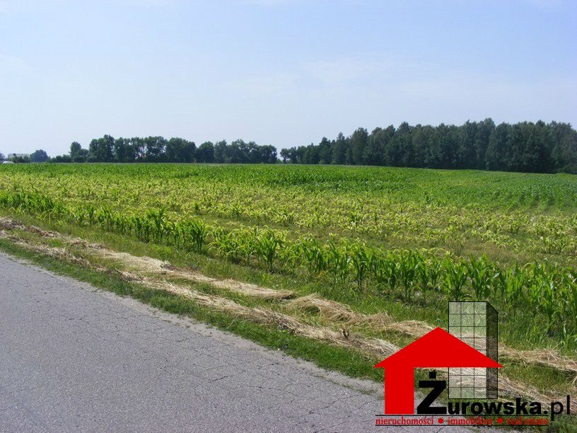 Działka inwestycyjna przy autostradzie A4 - 21 000 m² Brzeg  21 000m2 Foto 1