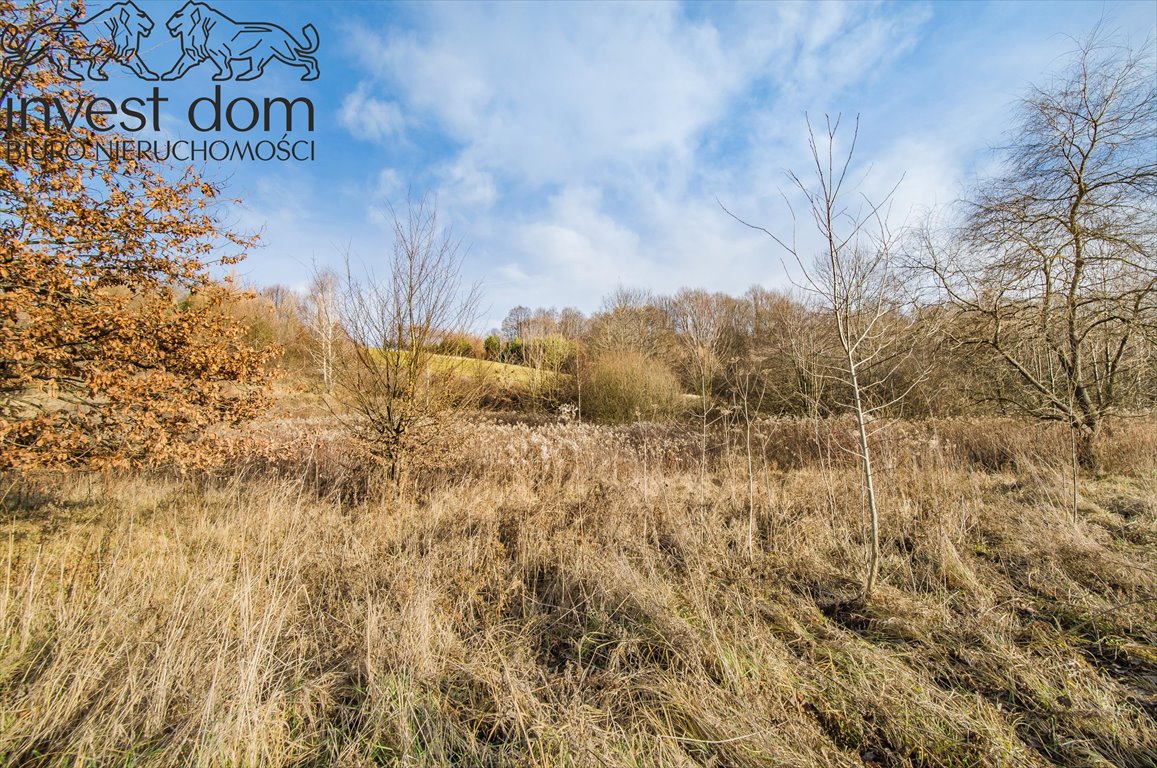 Działka rolna na sprzedaż Bączal Dolny  7 200m2 Foto 1