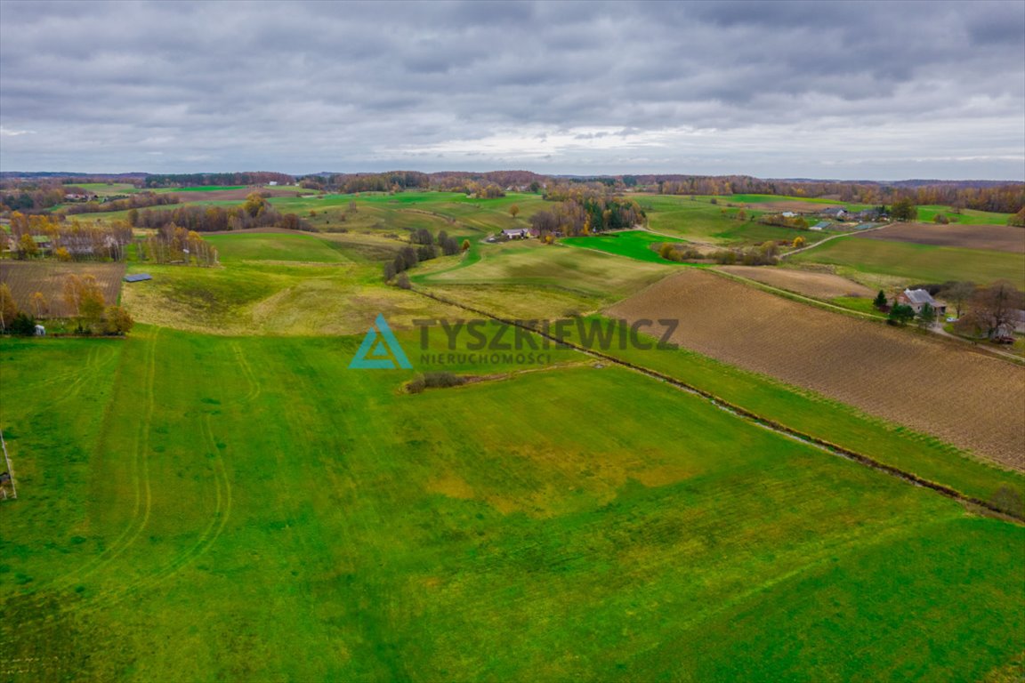 Działka rolna na sprzedaż Połęczyno  11 600m2 Foto 2