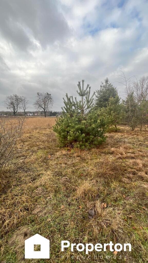 Działka inwestycyjna na sprzedaż Uściąż  11 500m2 Foto 4