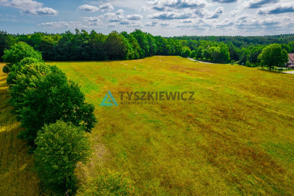 Działka budowlana na sprzedaż Nowa Wieś Przywidzka  1 216m2 Foto 9