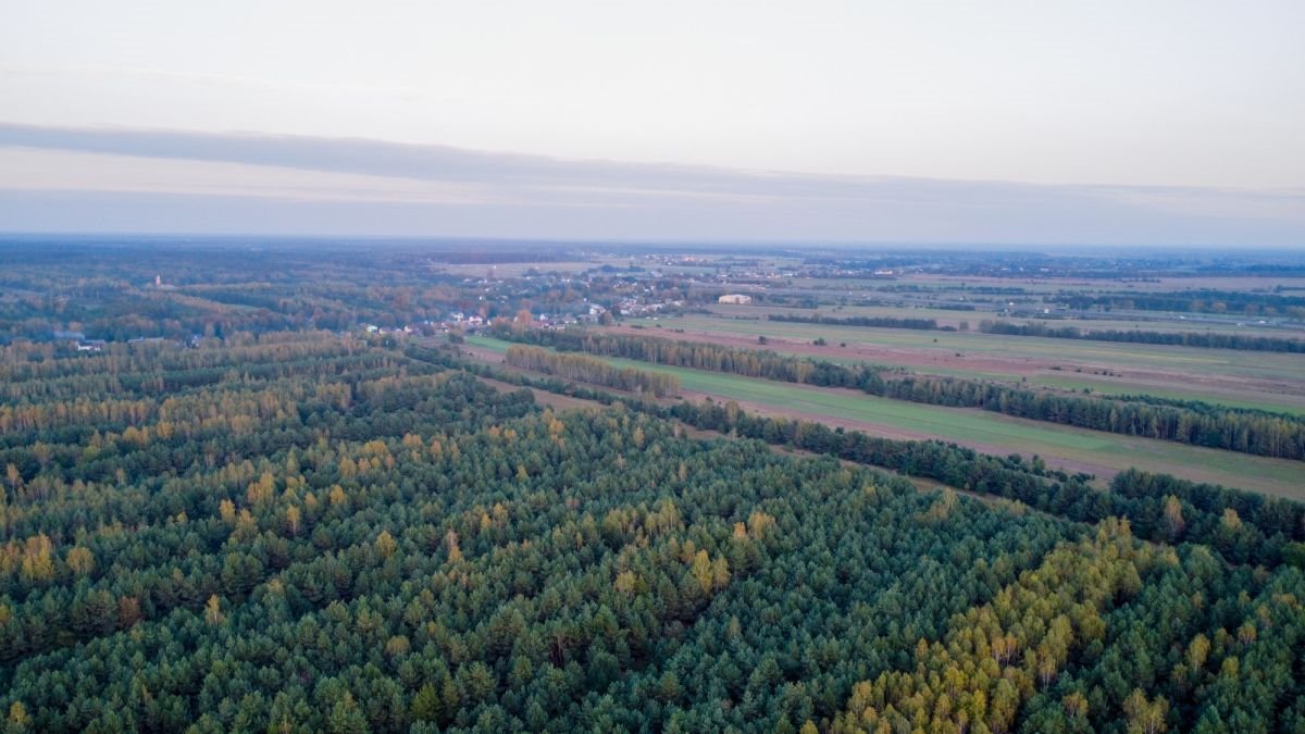 Działka budowlana na sprzedaż Trzcianka  25 988m2 Foto 9